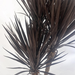 Botanik Dark Red and Brown Yukka Artificial Tree Plant 5ft - Size: 155 x 60 x 60cm - Wilko - thumbnail 4