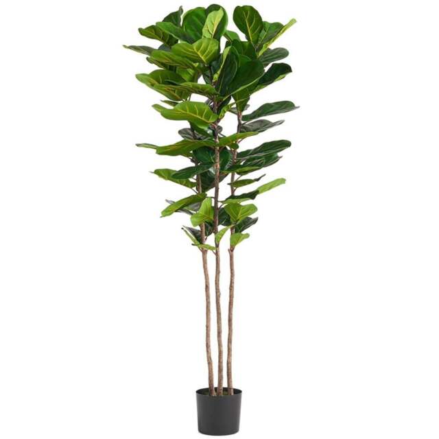 Leaf Fig Artificial Plant in Pot 180cm - Size: 180 x 70 x 70cm - Green - Botanik - Wilko - image 1