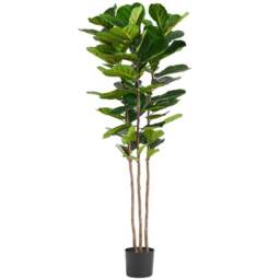 Leaf Fig Artificial Plant in Pot 180cm - Size: 180 x 70 x 70cm - Green - Botanik - Wilko - thumbnail 1