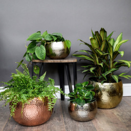 Ivyline Hammered Black and Copper Bowl 30cm - n/a - Wilko - thumbnail 7
