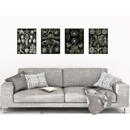 Artery8 Vintage Ernst Haeckel Ocean Wall Art Print 30 x 41cm 4 Pack - Size: 40.5 x 30.5 x 0.3cm - Black - Wilko - thumbnail 3