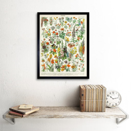 Artery8 Millot Encyclopaedia Page Flowers Plants Framed Wall Art Print 30 x 41cm - Size: 43.3 x 33.3 x 1.5cm - Multi - Wilko - thumbnail 3