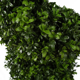 Botanik Spiral Boxwood Topiary Artificial Tree in Pot 4ft - Size: 120 x 40 x 40cm - Green - Wilko - thumbnail 4