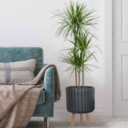 wilko Modern Ribbed Black Indoor Cylinder Plant Pot with Legs 41cm - Instadecor - thumbnail 5