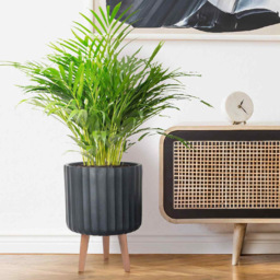 wilko Modern Ribbed Black Indoor Cylinder Plant Pot with Legs 41cm - Instadecor - thumbnail 3