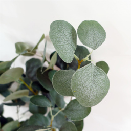 Botanik Eucalyptus Artificial Tree in Pot 150cm - Size: 150 x 50 x 50cm - Green - Wilko - thumbnail 4