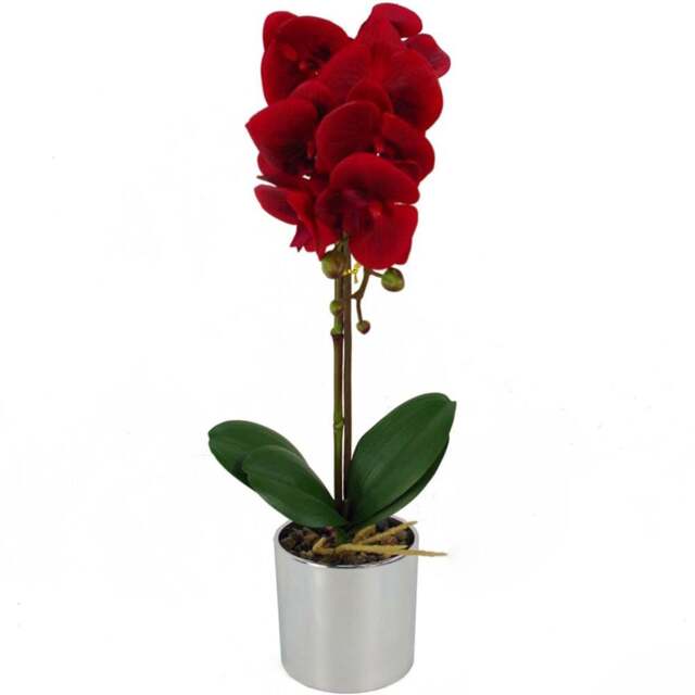 Botanik Red Orchid Artificial Plant in Silver Pot 46cm - Size: 46 x 15 x 15cm - Wilko - image 1