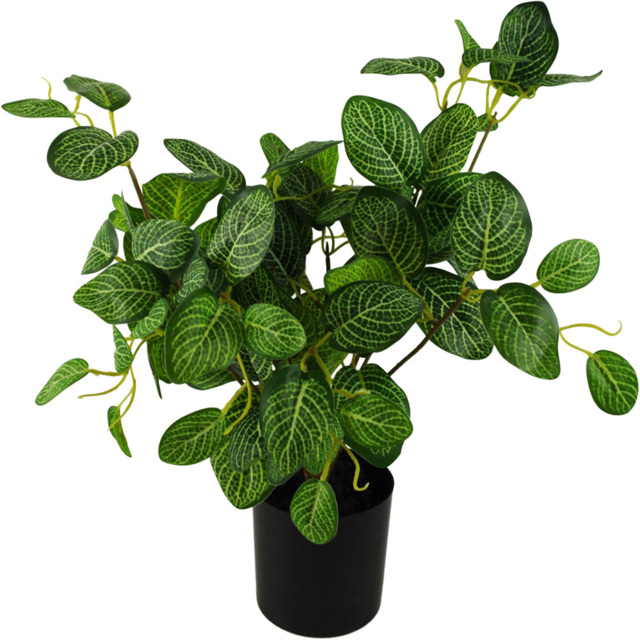 Leaf Variegated Green Pothos Artificial Plant in Plastic Pot 1.3ft - Size: 40 x 30 x 30cm - Wilko - image 1