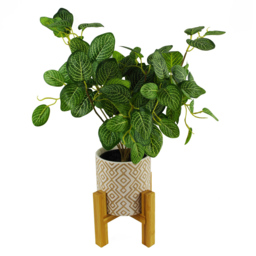 Leaf Variegated Green Pothos Artificial Plant in Plastic Pot 1.3ft - Size: 40 x 30 x 30cm - Wilko - thumbnail 6