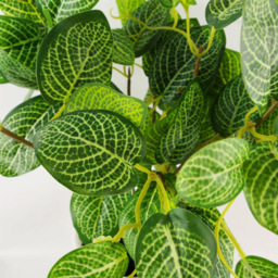 Leaf Variegated Green Pothos Artificial Plant in Plastic Pot 1.3ft - Size: 40 x 30 x 30cm - Wilko - thumbnail 5