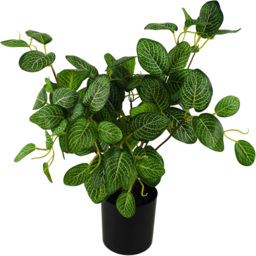 Leaf Variegated Green Pothos Artificial Plant in Plastic Pot 1.3ft - Size: 40 x 30 x 30cm - Wilko - thumbnail 1