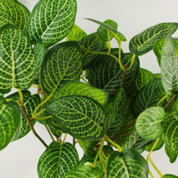 Leaf Variegated Green Pothos Artificial Plant in Plastic Pot 1.3ft - Size: 40 x 30 x 30cm - Wilko - thumbnail 3