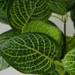 Leaf Variegated Green Pothos Artificial Plant in Plastic Pot 1.3ft - Size: 40 x 30 x 30cm - Wilko - thumbnail 4