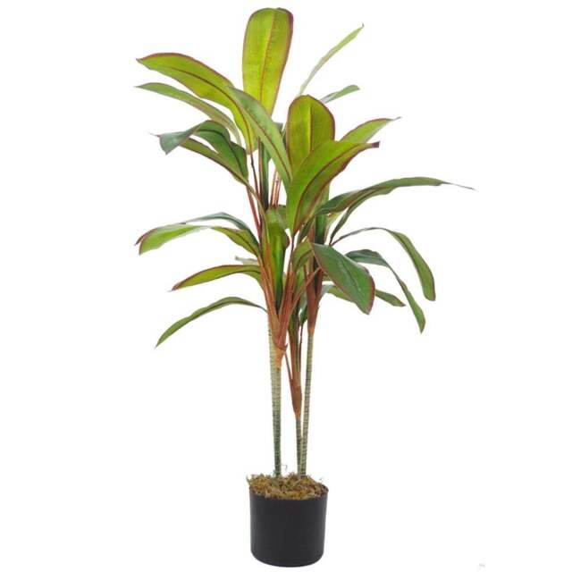 Leaf Dracaena Artificial Plant in Pot 100cm - Size: 90 x 70 x 70cm - Green - Wilko - image 1