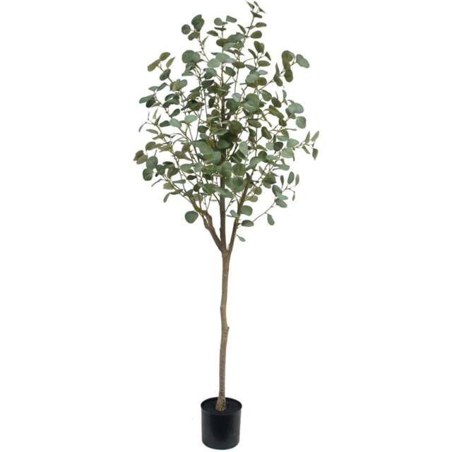Botanik Green Eucalyptus Artificial Tree in Pot 6ft - Size: 180 x 60 x 60cm - Wilko - image 1