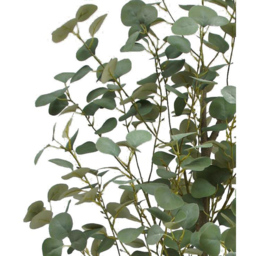 Botanik Green Eucalyptus Artificial Tree in Pot 6ft - Size: 180 x 60 x 60cm - Wilko - thumbnail 3