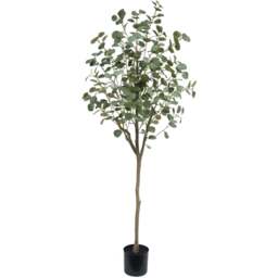 Botanik Green Eucalyptus Artificial Tree in Pot 6ft - Size: 180 x 60 x 60cm - Wilko - thumbnail 1