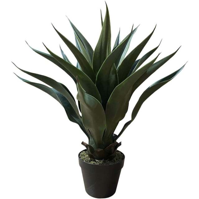 Botanik Deluxe Yukka Artificial Tree 60cm - Size: 60 x 50 x 50cm - Green - Wilko - image 1