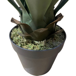 Botanik Deluxe Yukka Artificial Tree 60cm - Size: 60 x 50 x 50cm - Green - Wilko - thumbnail 3