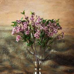 Prunus persica branch 91cm - thumbnail 3