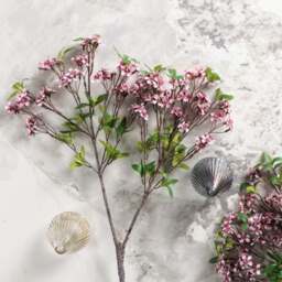 Prunus persica branch 91cm - thumbnail 1