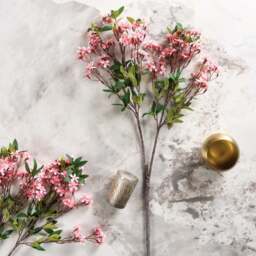 Prunus persica branch 91cm - thumbnail 2