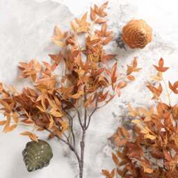 Heavenly Bamboo Stem 110cm - thumbnail 1