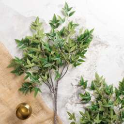 Heavenly Bamboo Stem 110cm - thumbnail 2