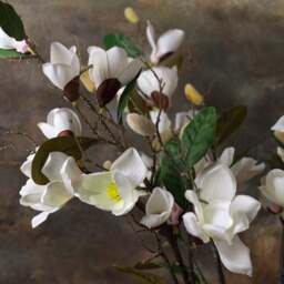 Magnolia branch 92cm - thumbnail 4
