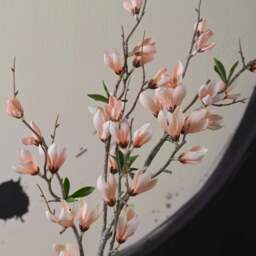 MAGNOLIA spray 95cm - thumbnail 3