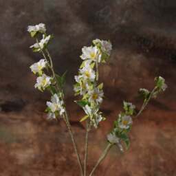 Cherry blossom spray75cm - thumbnail 2