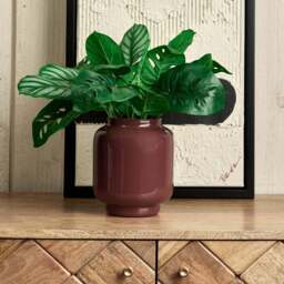 Glass Base Vase in Cherry - Large - thumbnail 1