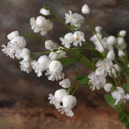 Dicentra spray 86cm - thumbnail 4