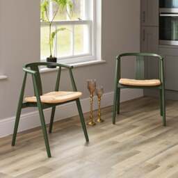 Long Island Dining Chair - Olive Green (Set of 2) - thumbnail 1