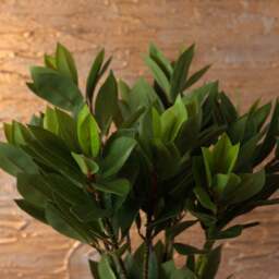 leaf spray 80cm - thumbnail 3