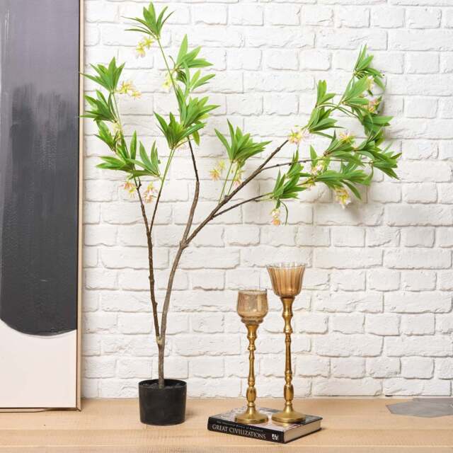 HAINAN ELAEOCARPUS BONSAI 130cm - image 1