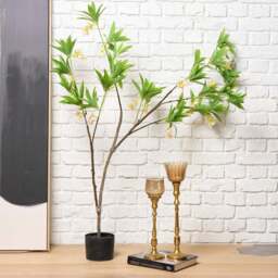 HAINAN ELAEOCARPUS BONSAI 130cm - thumbnail 1