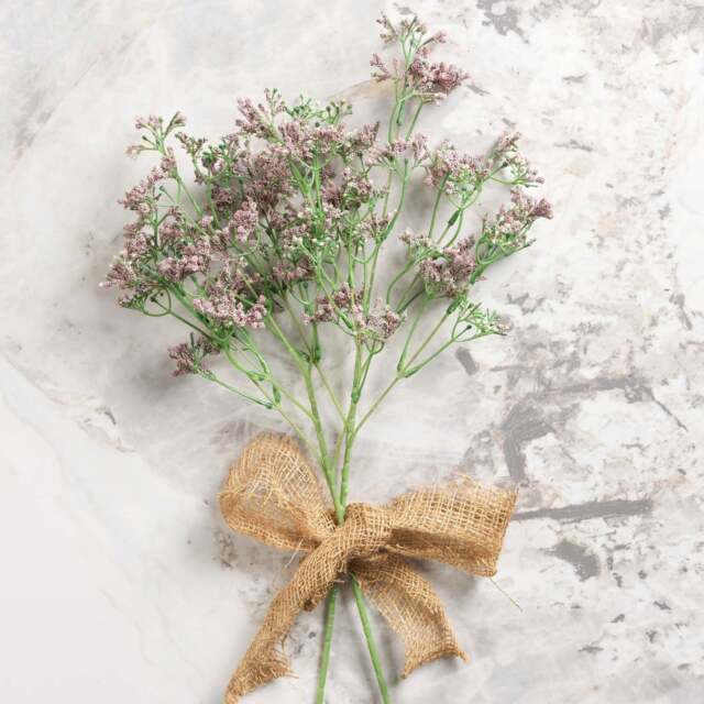 Gypsophila paniculata 68cm - image 1