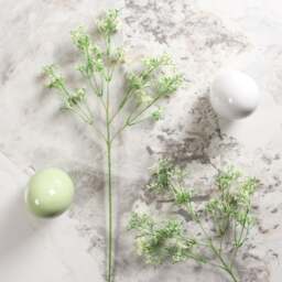 Gypsophila paniculata 68cm - thumbnail 3