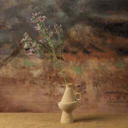 Gypsophila paniculata 68cm - thumbnail 5