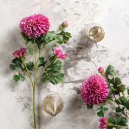 Pompon Dahlia Spray 68cm - thumbnail 1