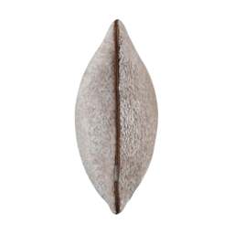 Quilo Duo Cushion - Cream 35x50cm - thumbnail 3