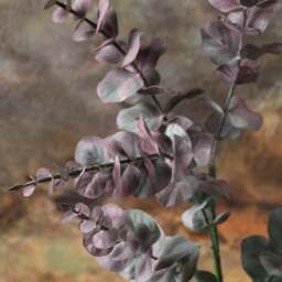 Eucalyptus spray 95cm - thumbnail 3
