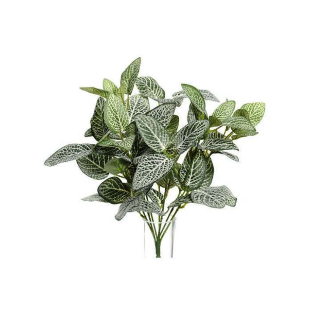 Artificial Fittonia Bush - image 1