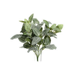 Artificial Fittonia Bush - thumbnail 1