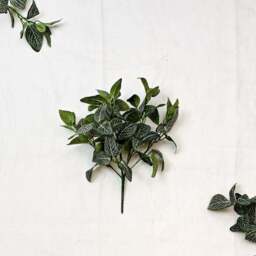 Artificial Fittonia Bush - thumbnail 2