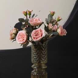 Camellia Japonica 51.5cm - thumbnail 3