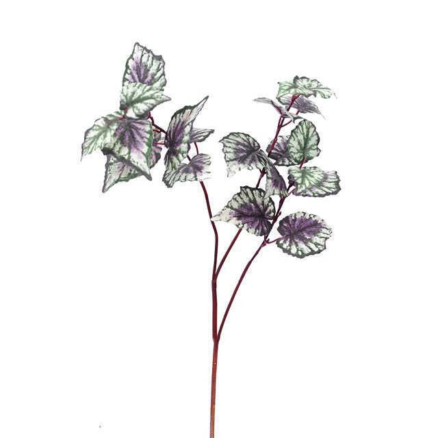 Begonia Spray 65cm