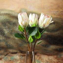 Protea Stem Open 68cm - thumbnail 3
