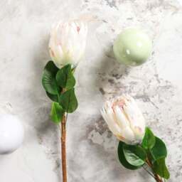 Protea Stem Open 68cm - thumbnail 2